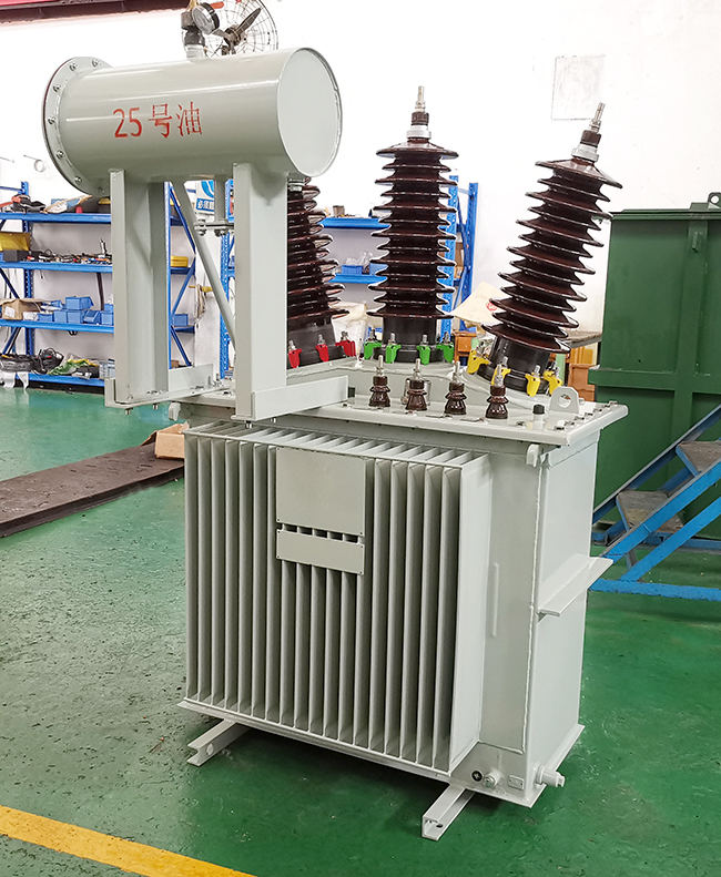 Three Phase 250kVA 35kV Oil Immersed Transformer Figure 3