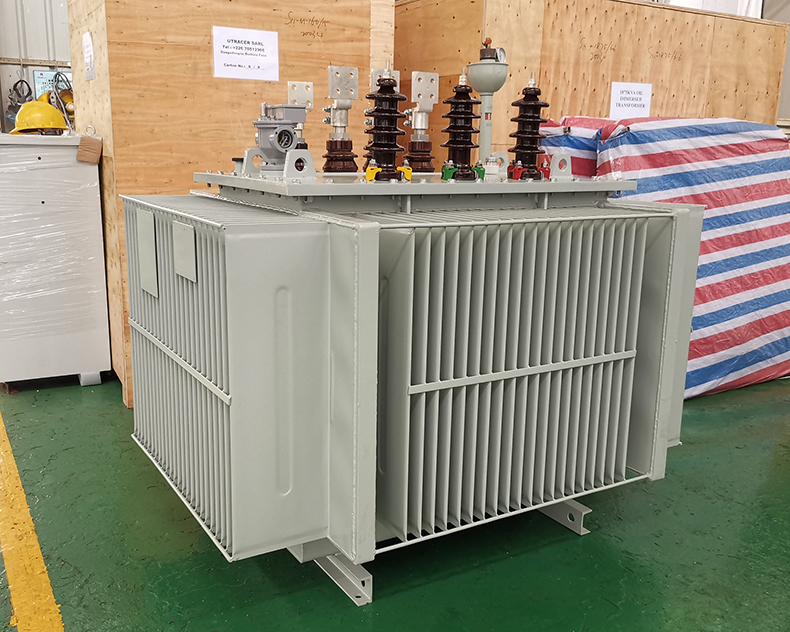 Excellent Quality 1250kVA 15kV Oil-Immersed Transformer Figure 2